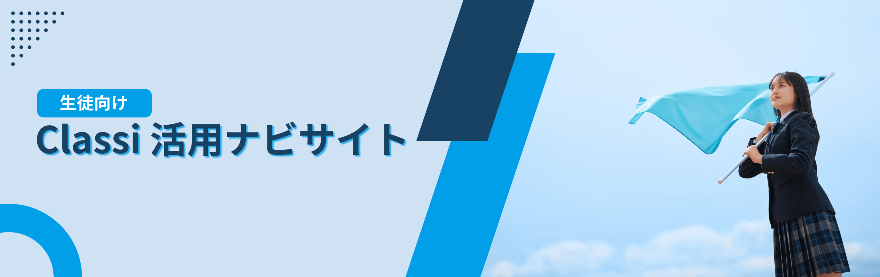高校入試対策プログラムベスナビ 実戦力完成コース ドリル 自宅学習 高校入試対策プログラムベスナビ 実戦力完成コース ドリル 教材